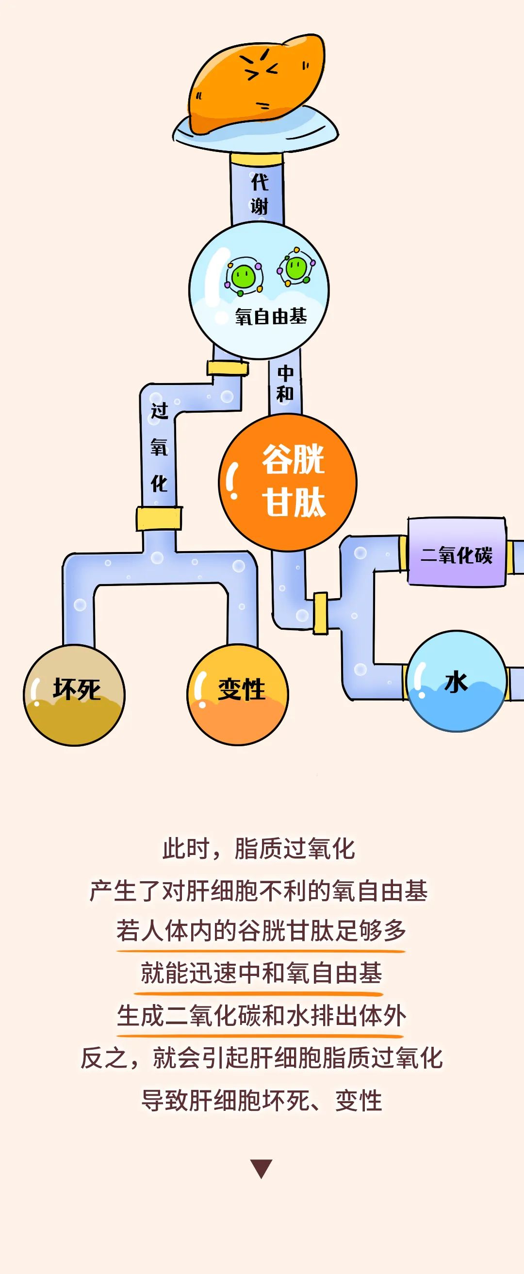 494949最快的开奖